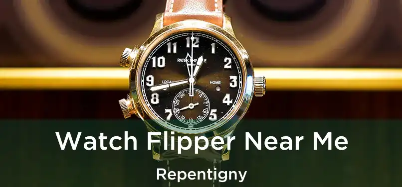  Watch Flipper Near Me Repentigny